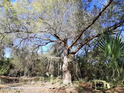 910 Paradise Boulevard Georgetown FL 32139