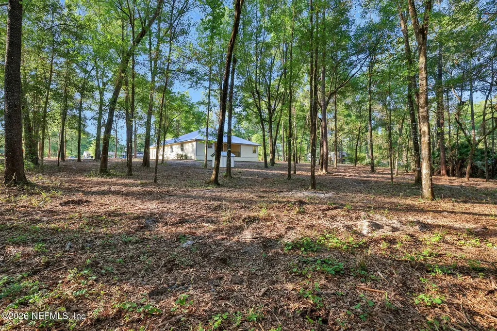 2830 Tansy Avenue Middleburg FL 32068