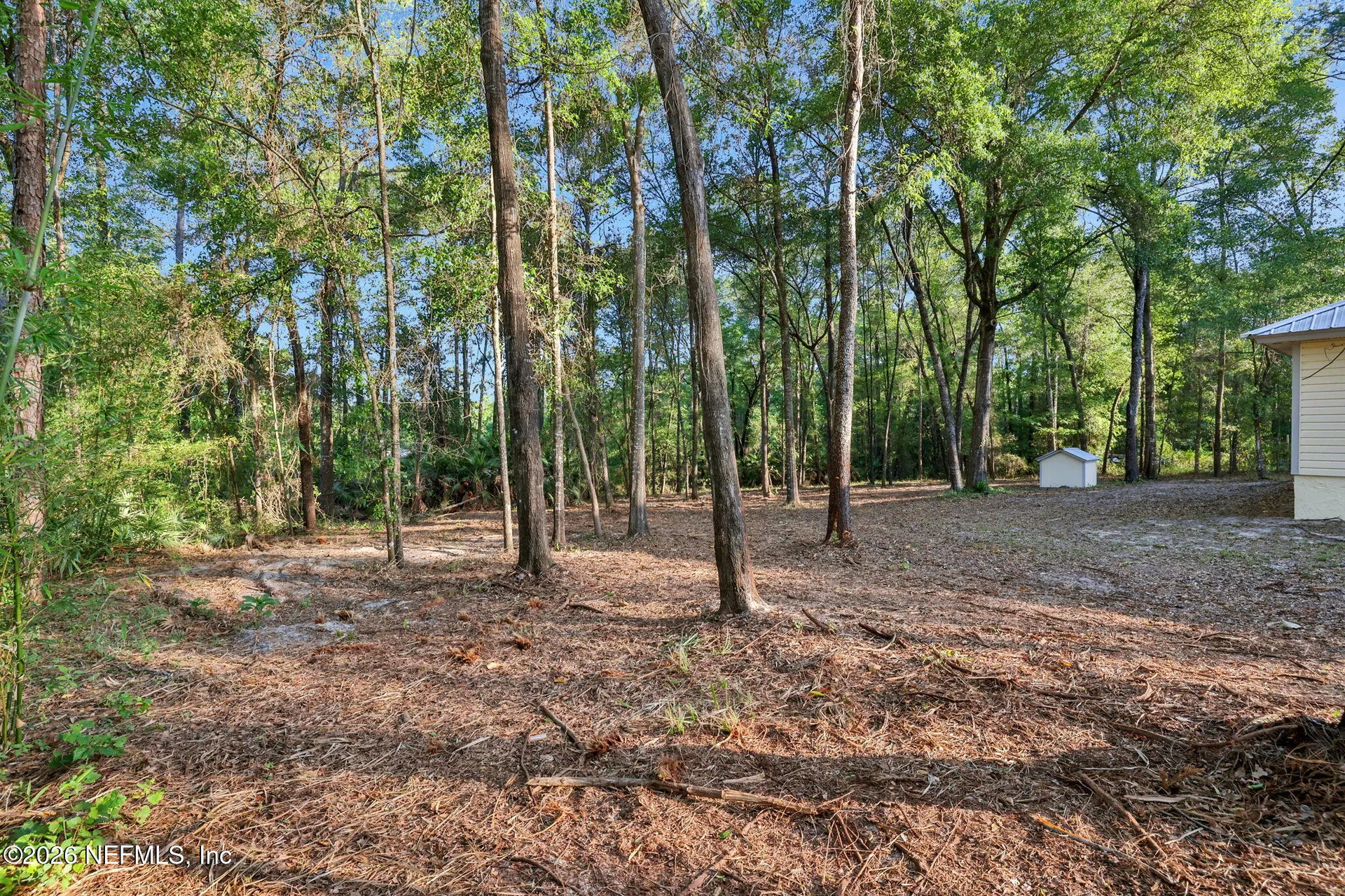 2830 Tansy Avenue Middleburg FL 32068