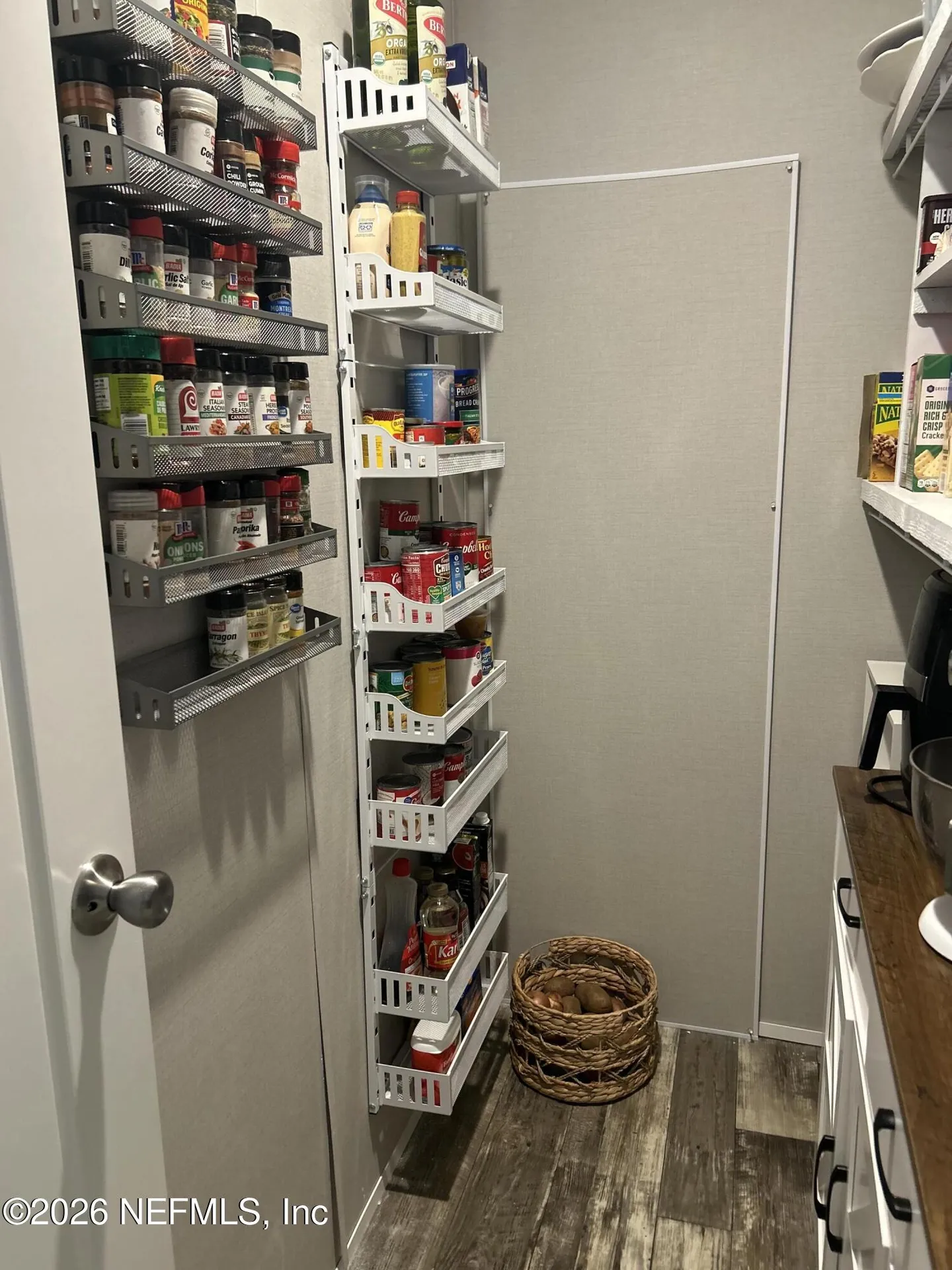 10225 Kirchherr Avenue Hastings FL 32145