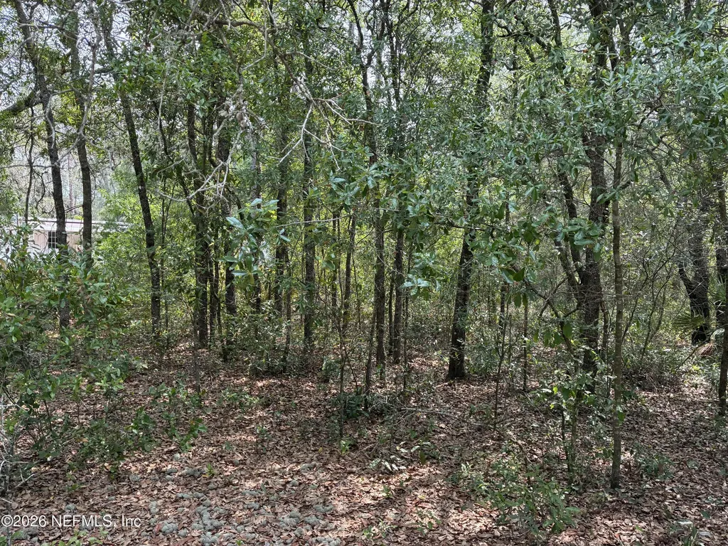 176 Maple Lane Interlachen FL 32148