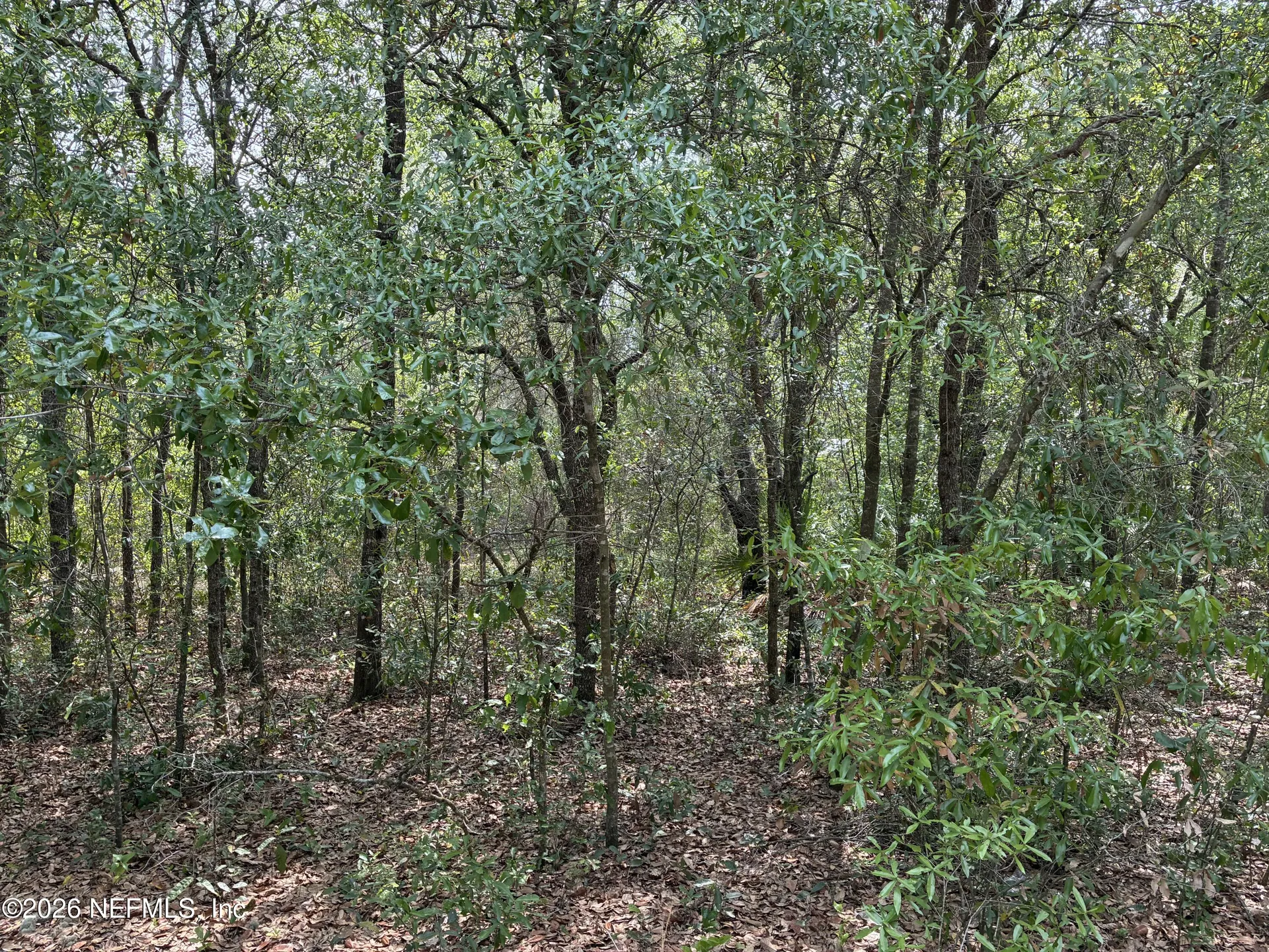 176 Maple Lane Interlachen FL 32148