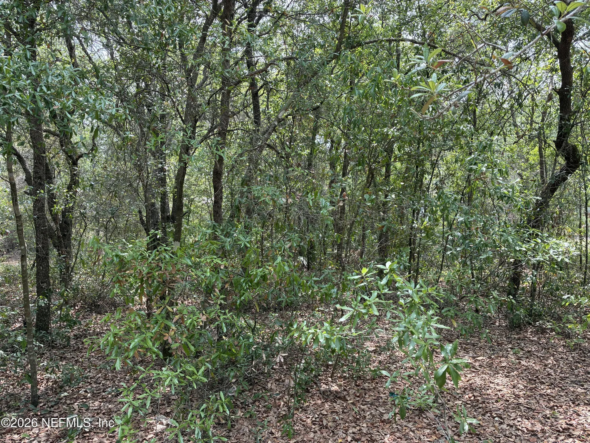 176 Maple Lane Interlachen FL 32148