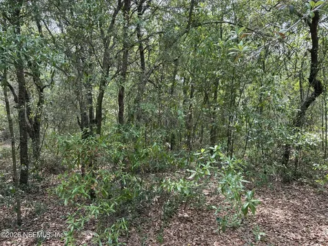 176 Maple Lane Interlachen FL 32148