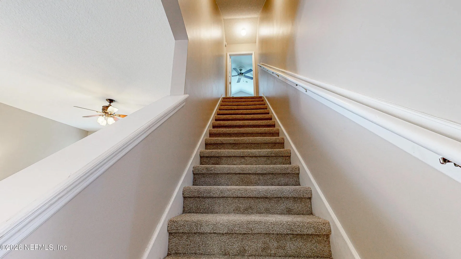 2029 Cypress Bluff Court Fleming Island FL 32003