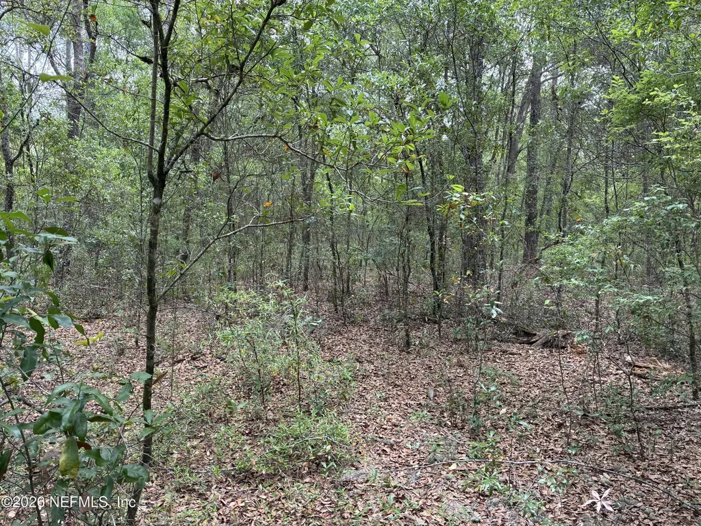 Xxx Kennedy Avenue Interlachen FL 32148