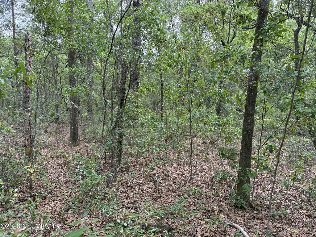 Xxx Kennedy Avenue Interlachen FL 32148