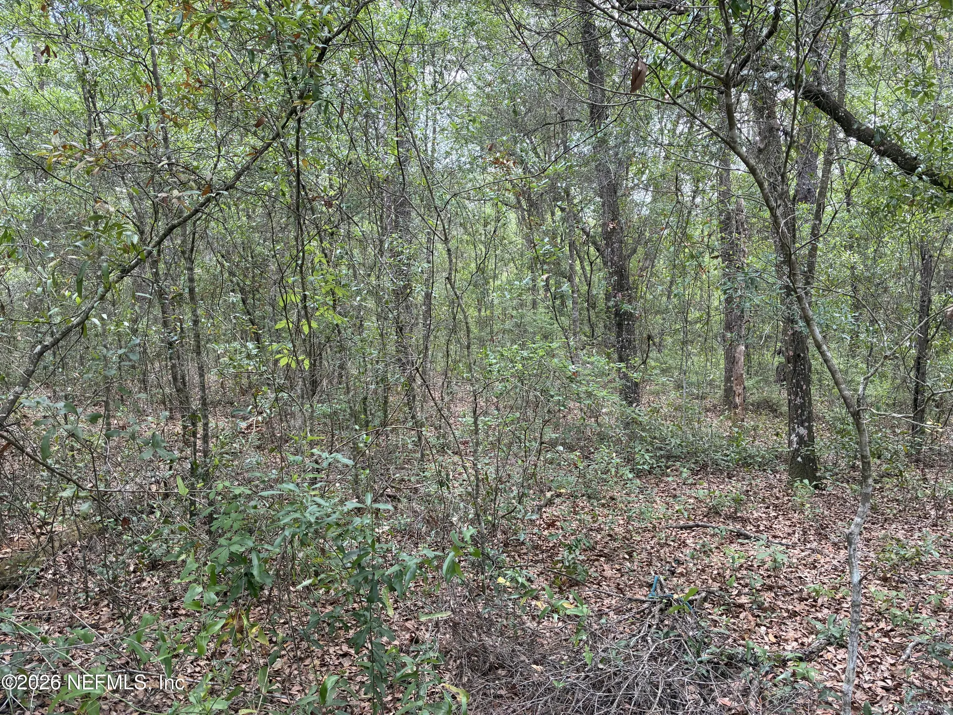Xxx Kennedy Avenue Interlachen FL 32148