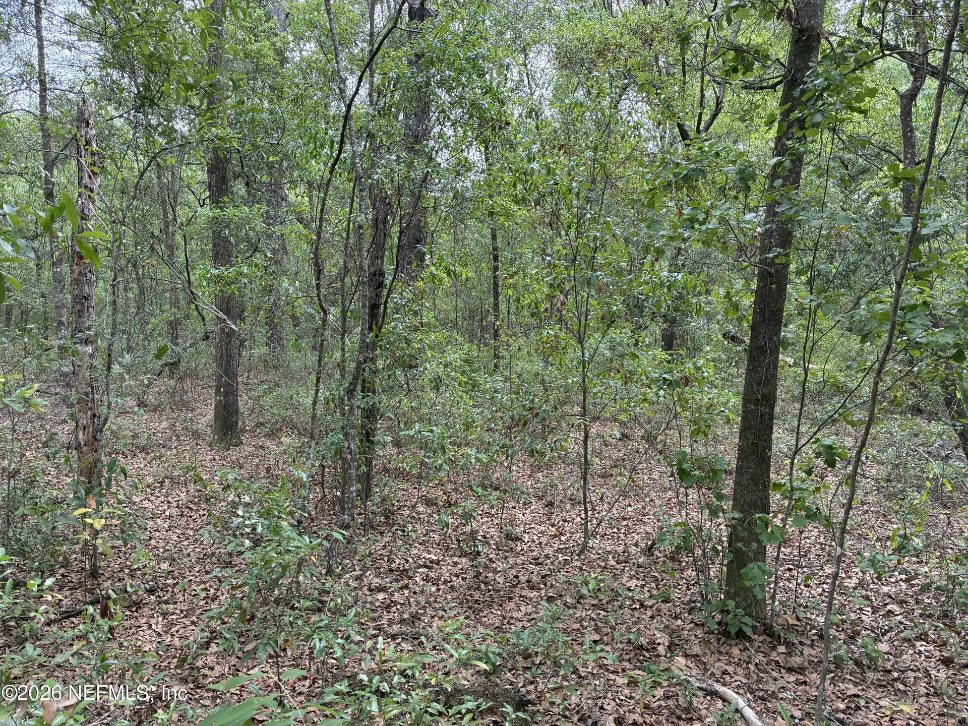 Xxx Kennedy Avenue Interlachen FL 32148