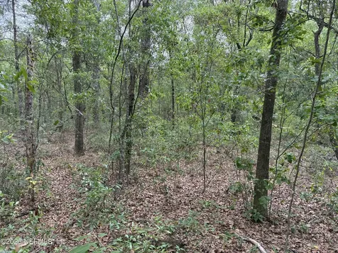 Xxx Kennedy Avenue Interlachen FL 32148