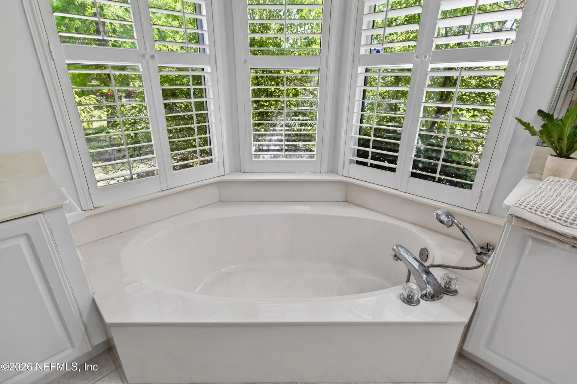 413 River Birch Lane Fleming Island FL 32003