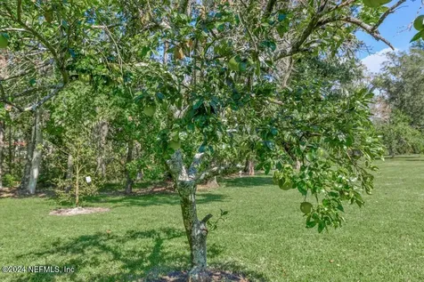 413 River Birch Lane Fleming Island FL 32003