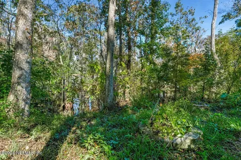 413 River Birch Lane Fleming Island FL 32003