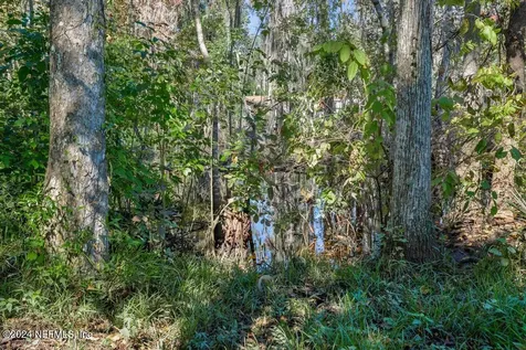 413 River Birch Lane Fleming Island FL 32003