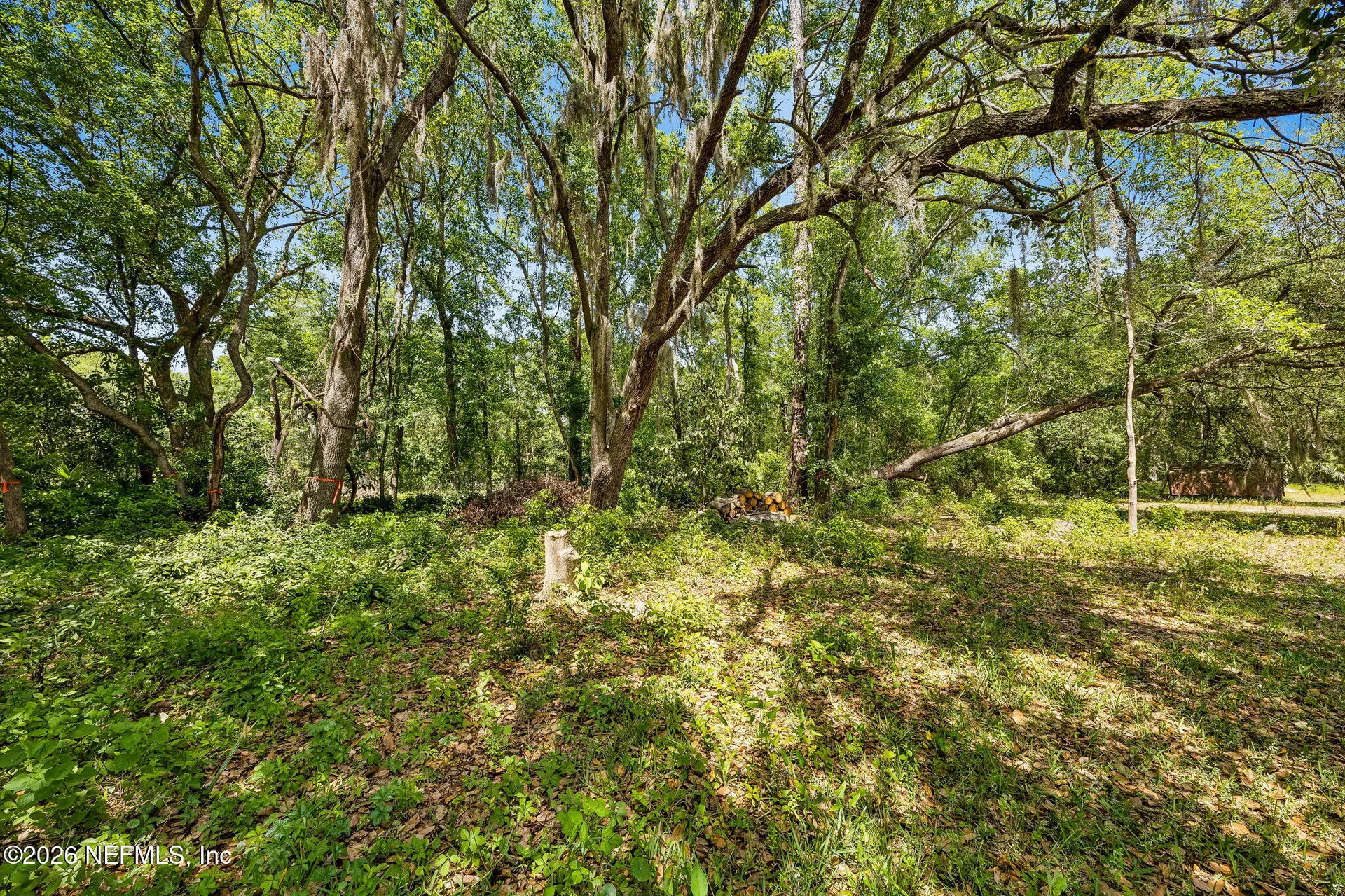 6319 Gaskins Road Jacksonville FL 32244