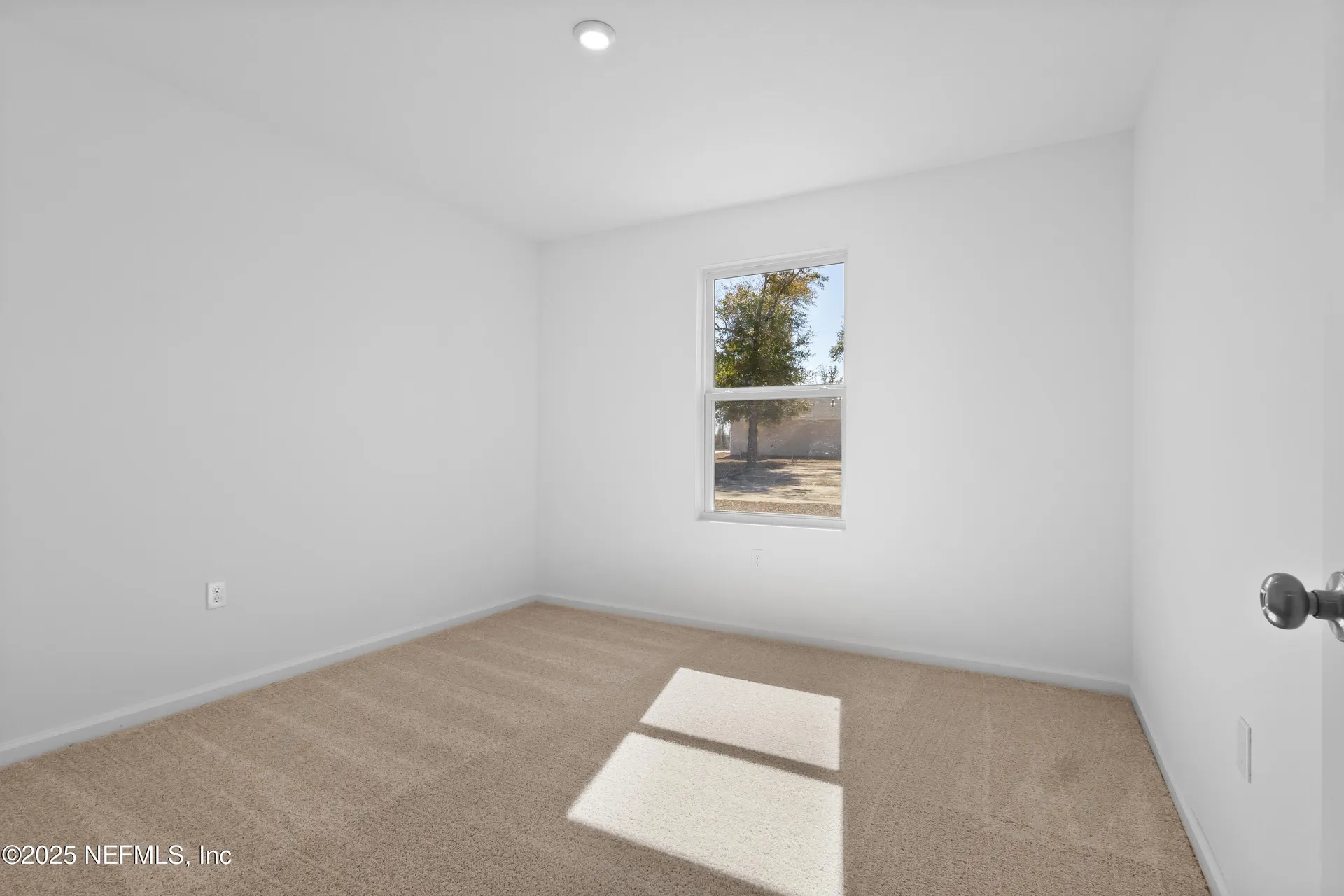 10415 Baylor Avenue Hastings FL 32145