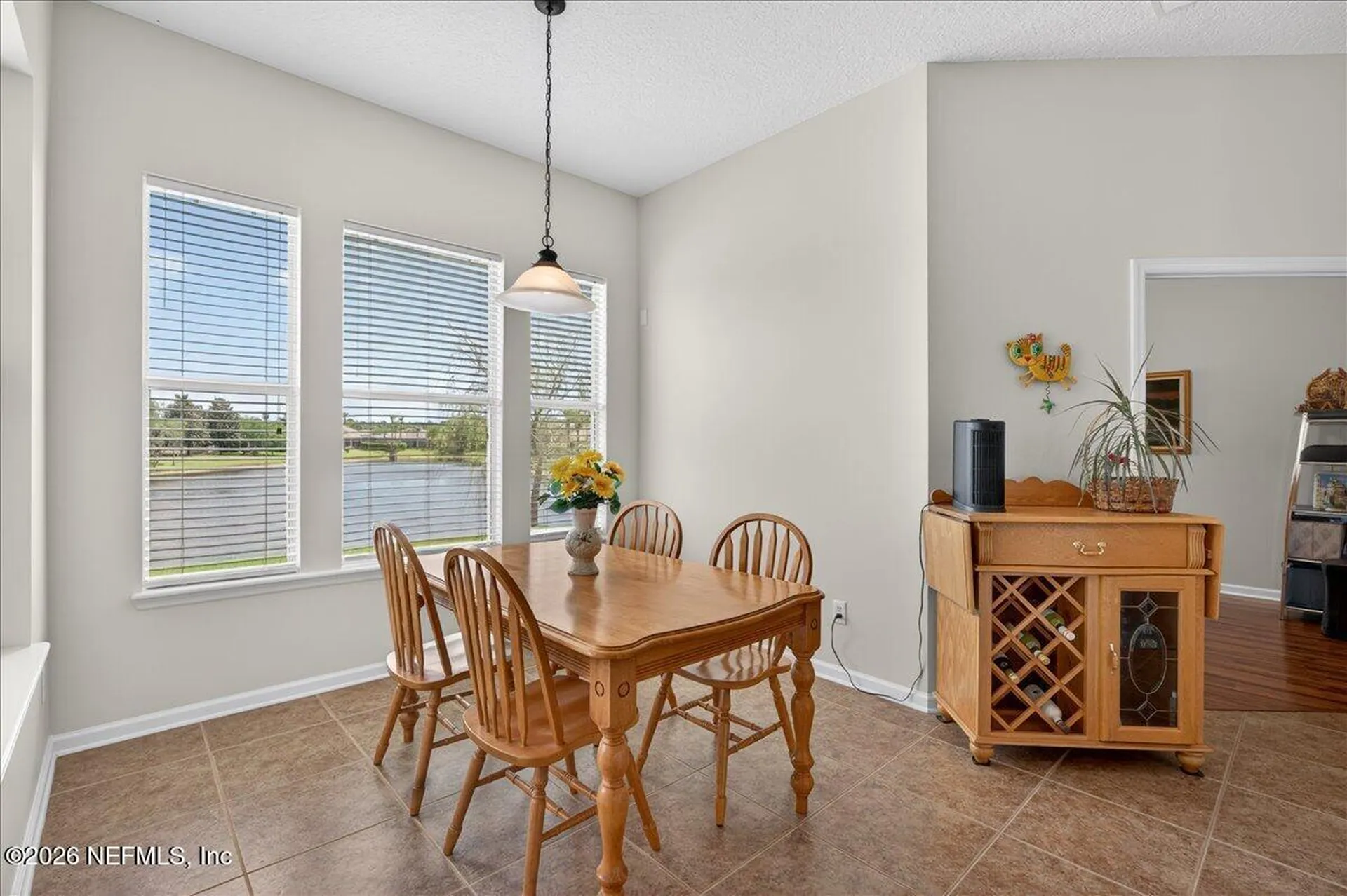 316 Tavistock Drive St. Augustine FL 32095