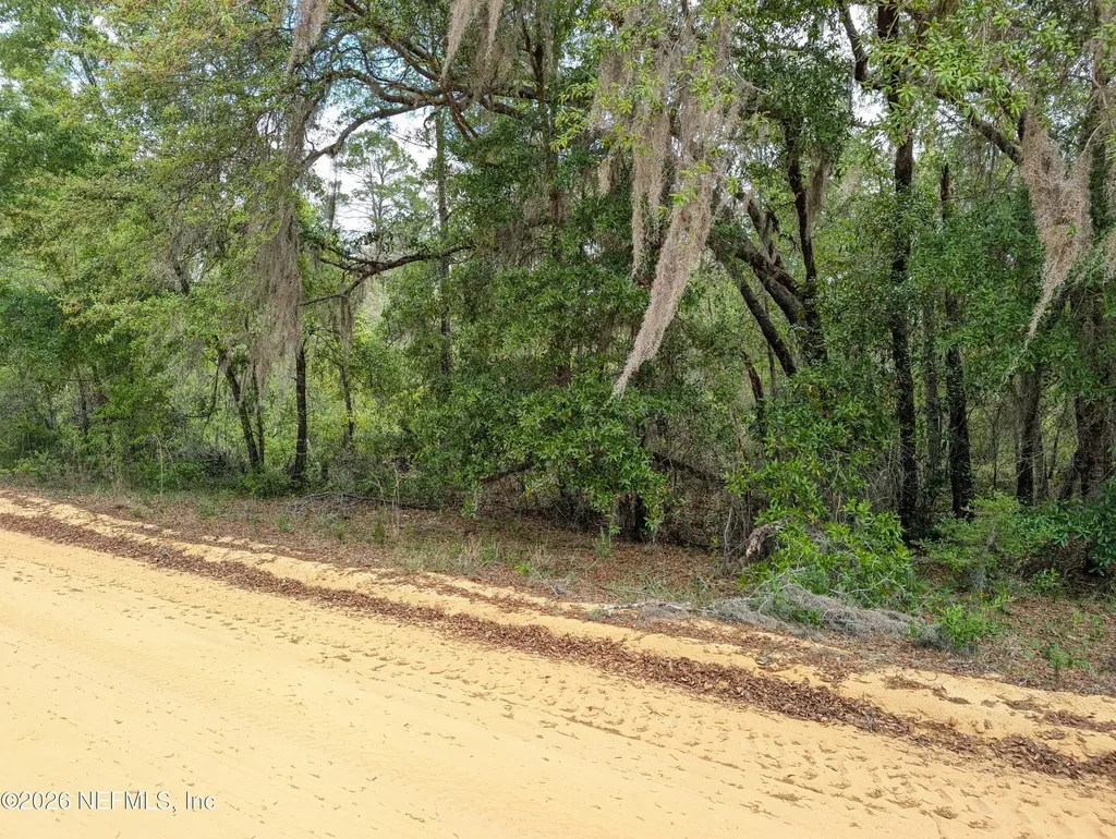 Lots 19-21 Selma Avenue Interlachen FL 32148
