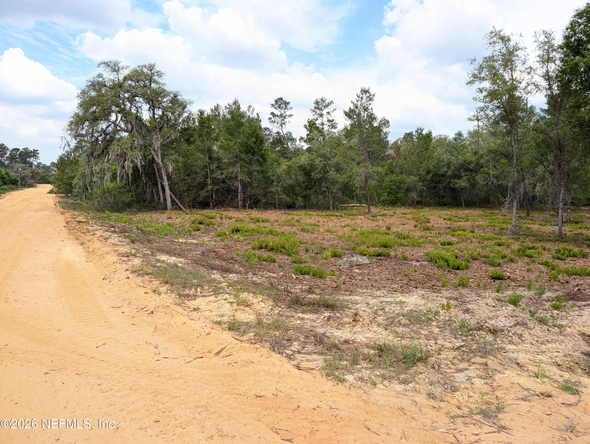 Lots 19-21 Selma Avenue Interlachen FL 32148