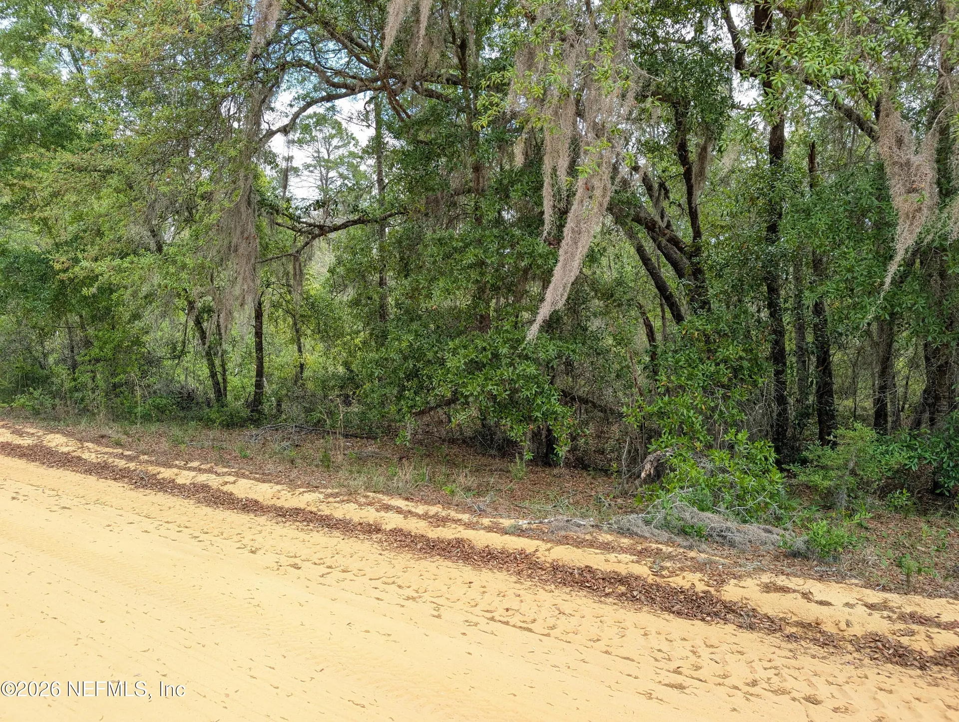 Lots 19-21 Selma Avenue Interlachen FL 32148