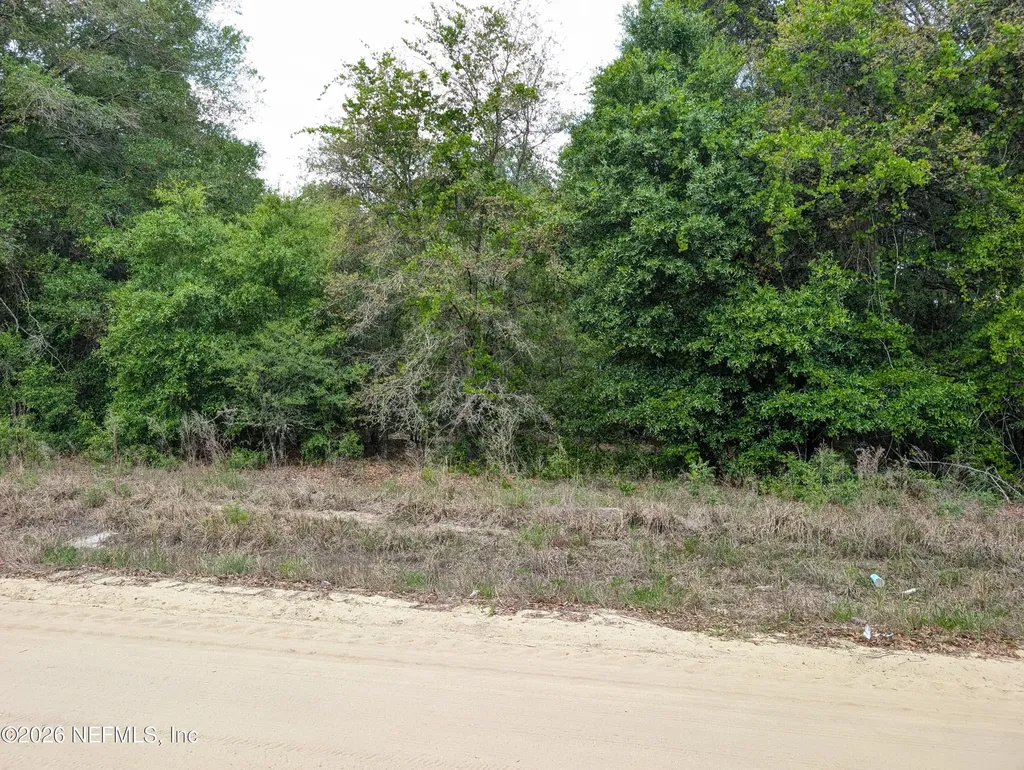 0060 Maltas Avenue Interlachen FL 32148