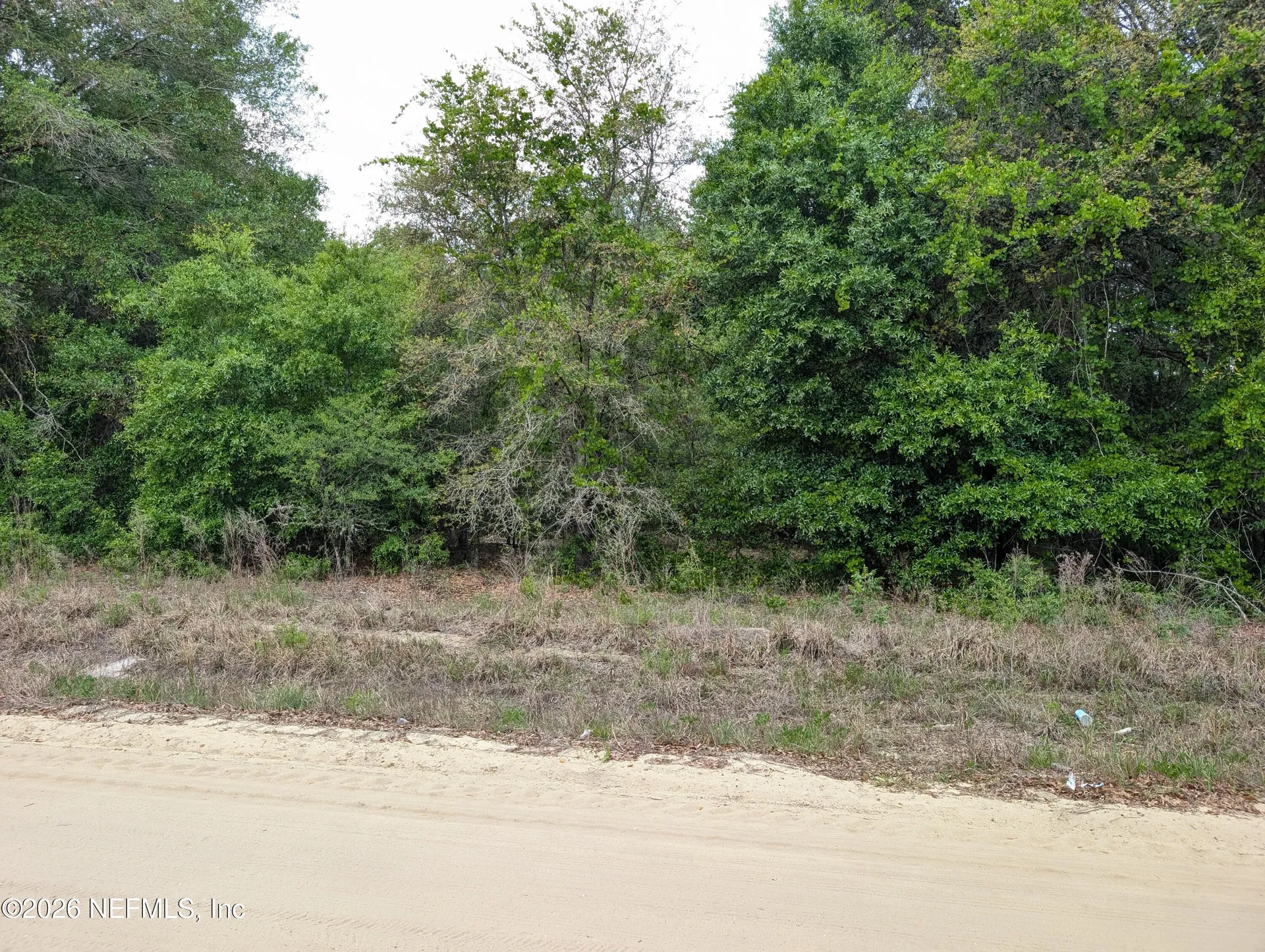 0060 Maltas Avenue Interlachen FL 32148