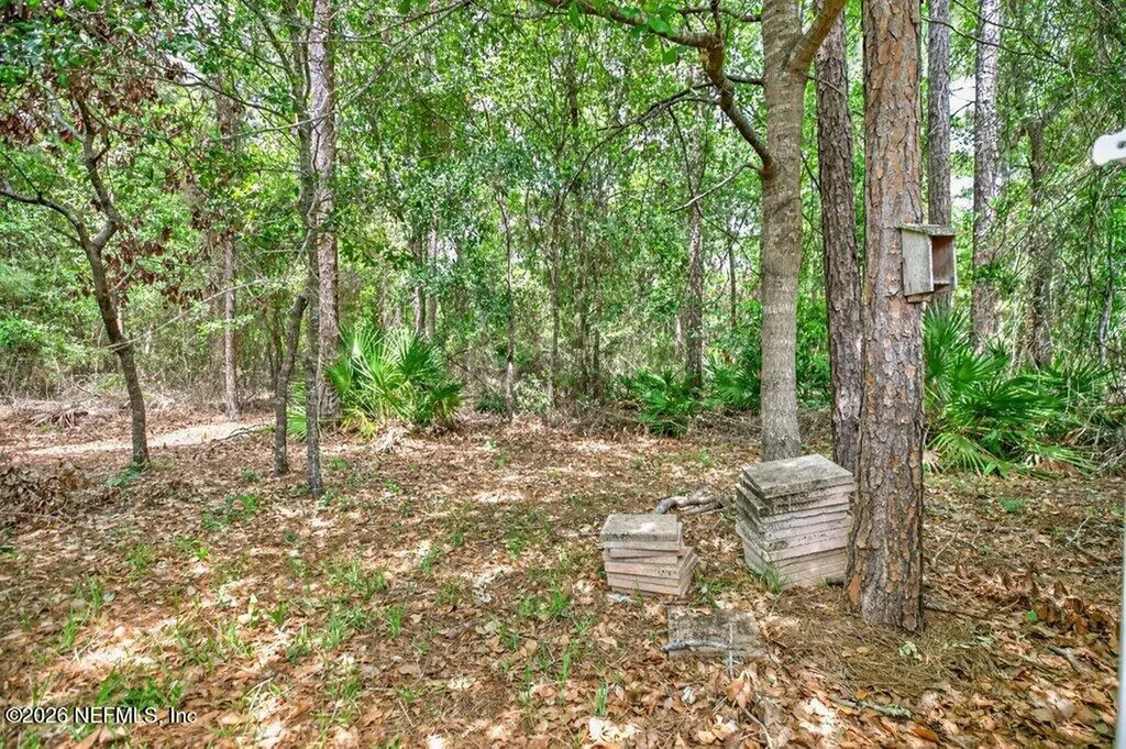 3839 Trail Ridge Road Middleburg FL 32068