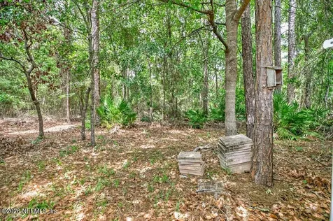 3839 Trail Ridge Road Middleburg FL 32068