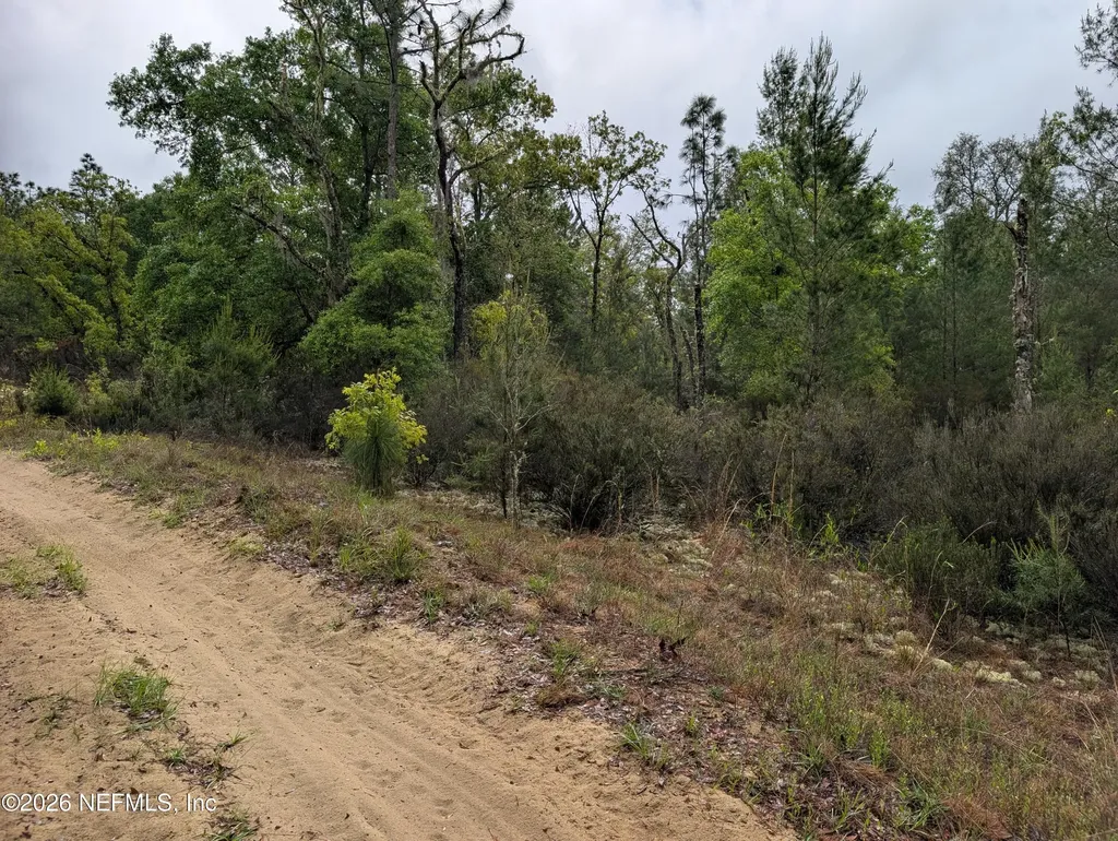 Lot 34- 35 Maltas Avenue Interlachen FL 32148