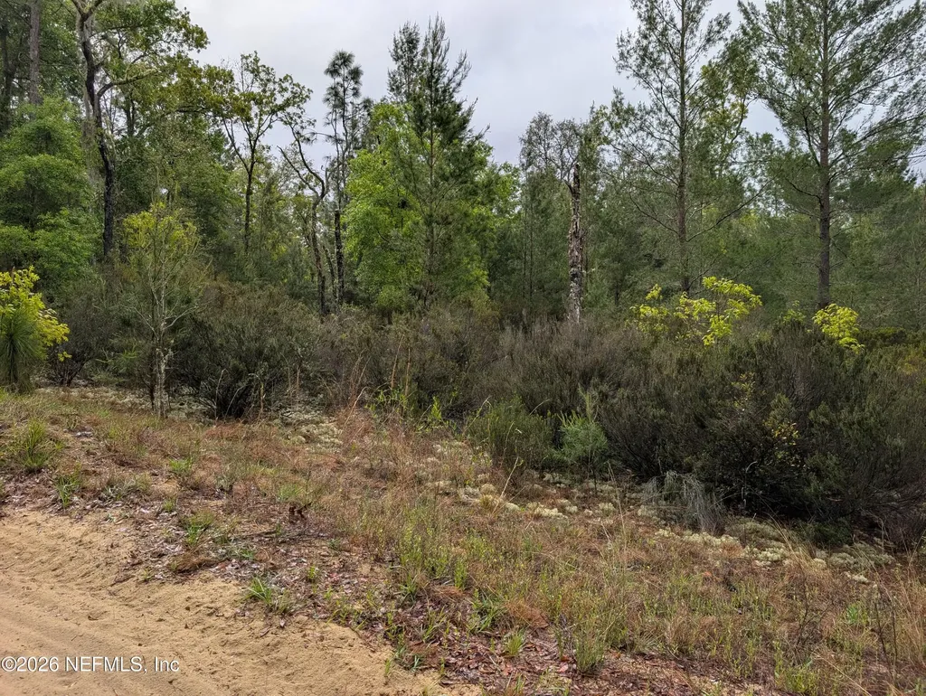 Lot 34- 35 Maltas Avenue Interlachen FL 32148
