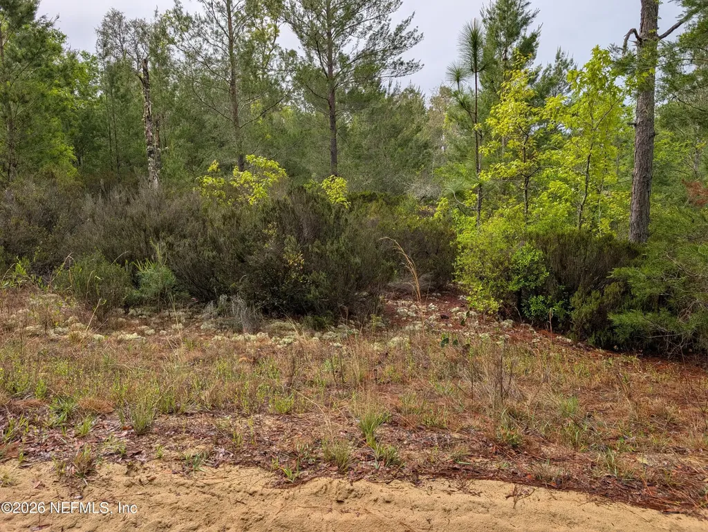 Lot 34- 35 Maltas Avenue Interlachen FL 32148