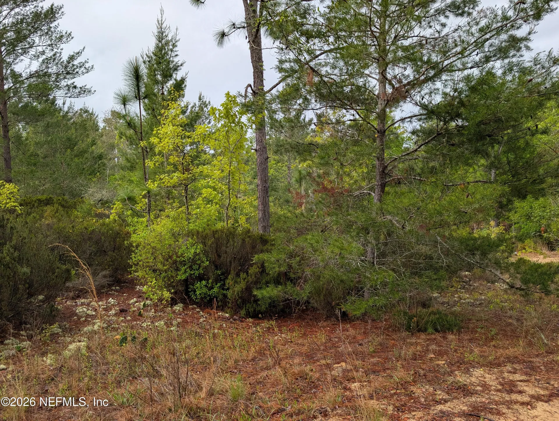 Lot 34- 35 Maltas Avenue Interlachen FL 32148