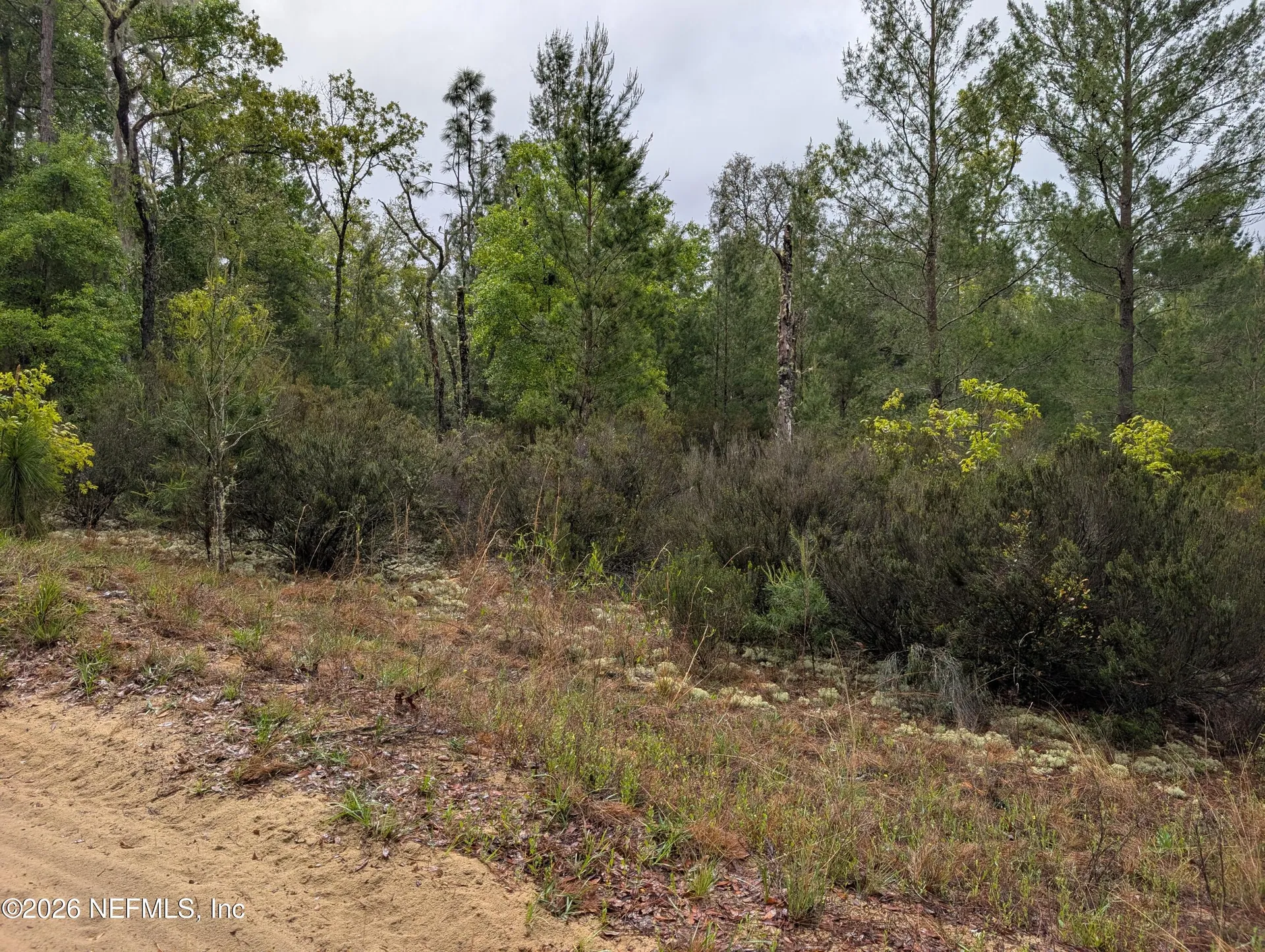 Lot 34- 35 Maltas Avenue Interlachen FL 32148