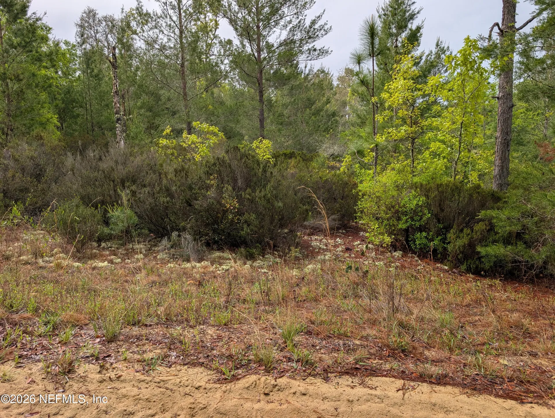 Lot 34- 35 Maltas Avenue Interlachen FL 32148