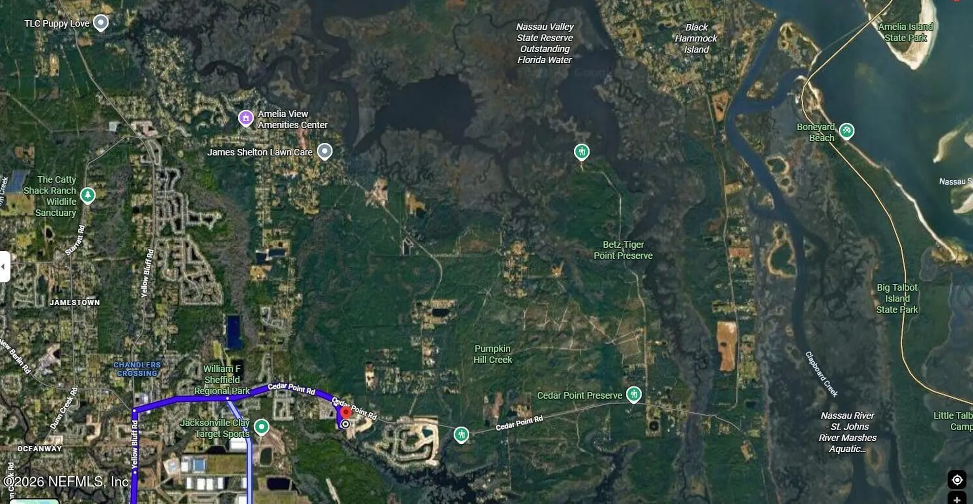 12339 Clapboard Bluff Trail Jacksonville FL 32226