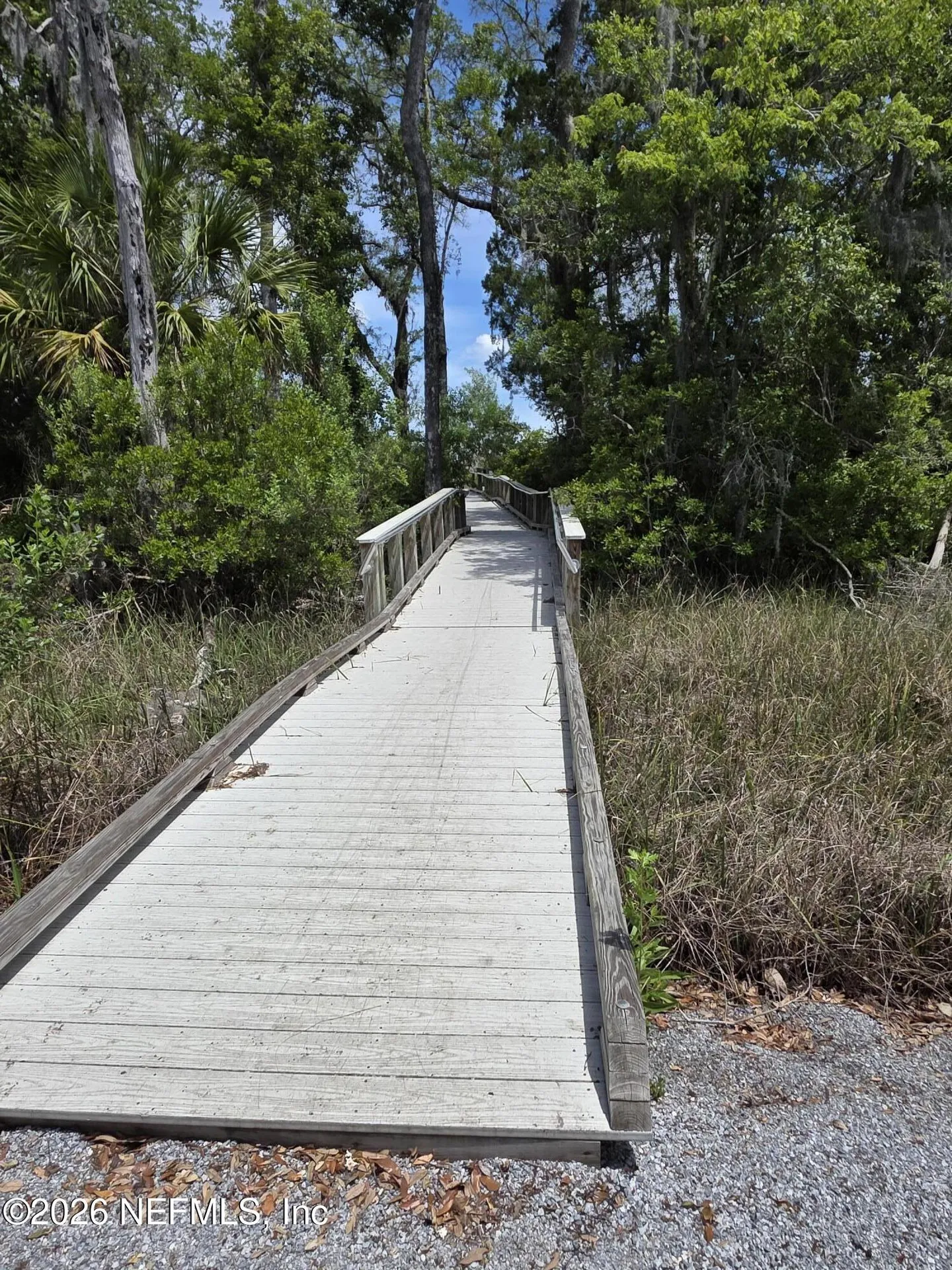 12339 Clapboard Bluff Trail Jacksonville FL 32226