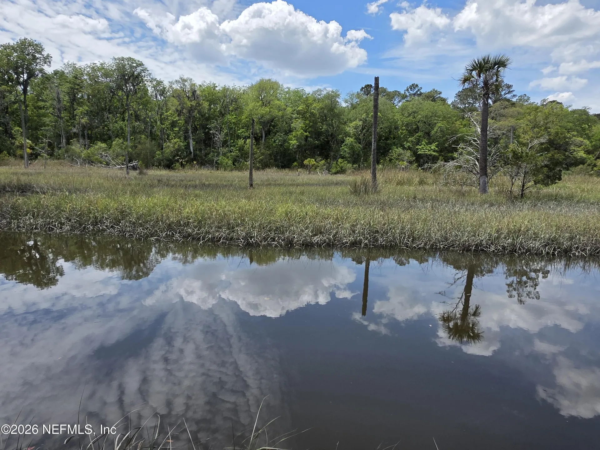 12339 Clapboard Bluff Trail Jacksonville FL 32226