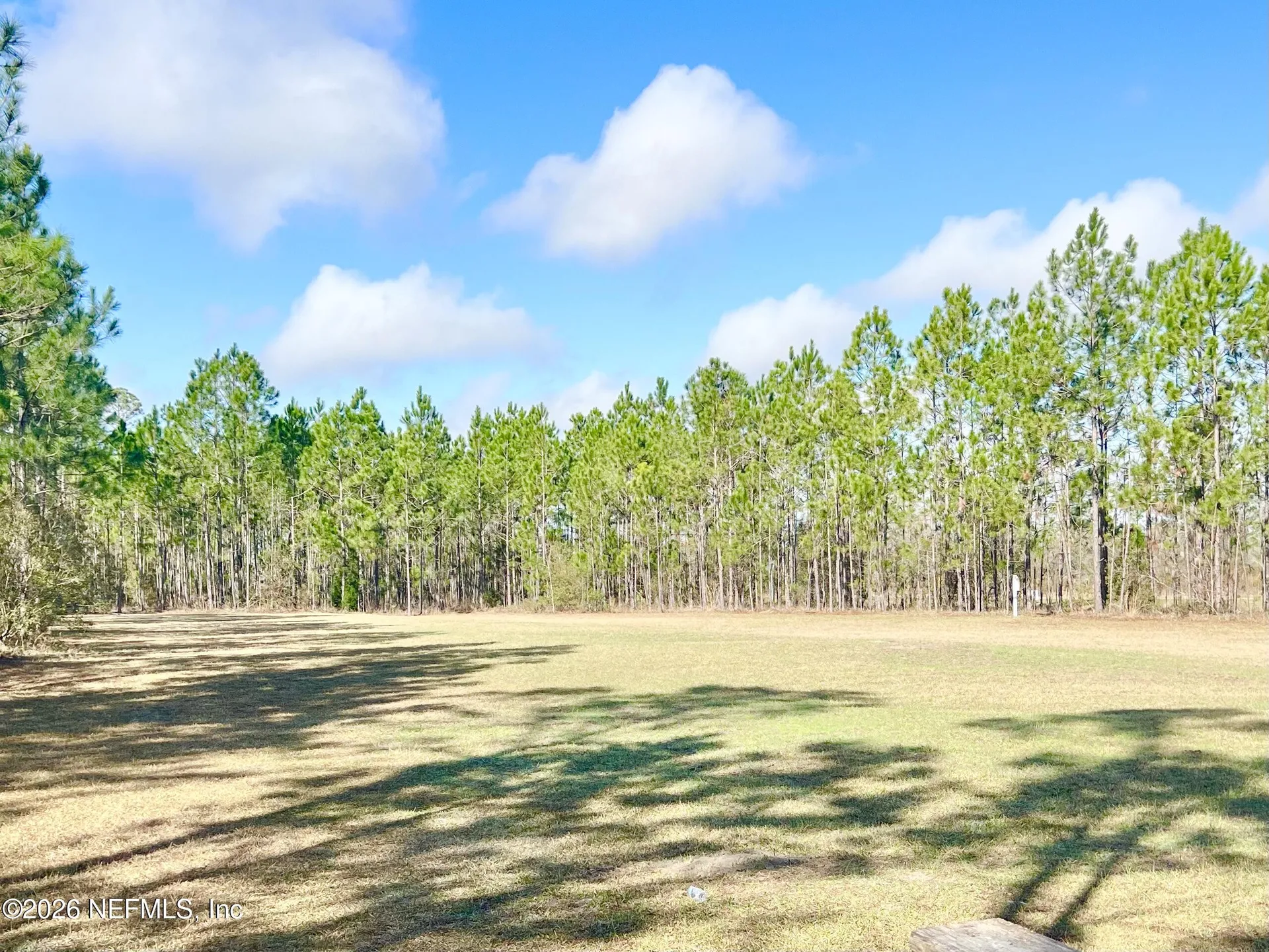 6054 Chestnut Gelding Lane Jacksonville FL 32234
