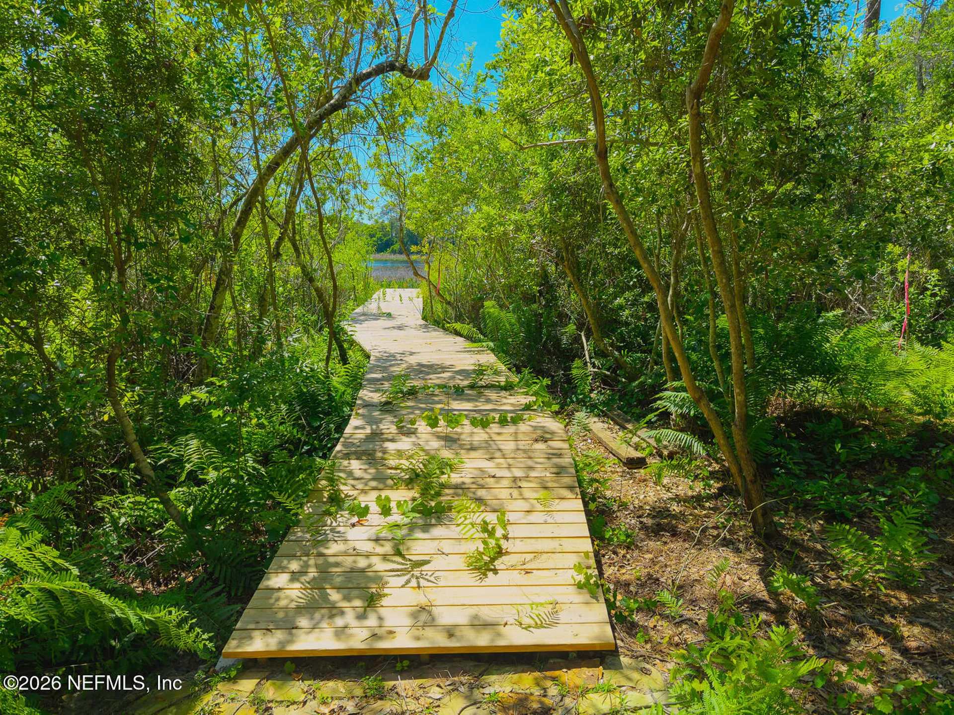 817 Randolph Street Crescent City FL 32112