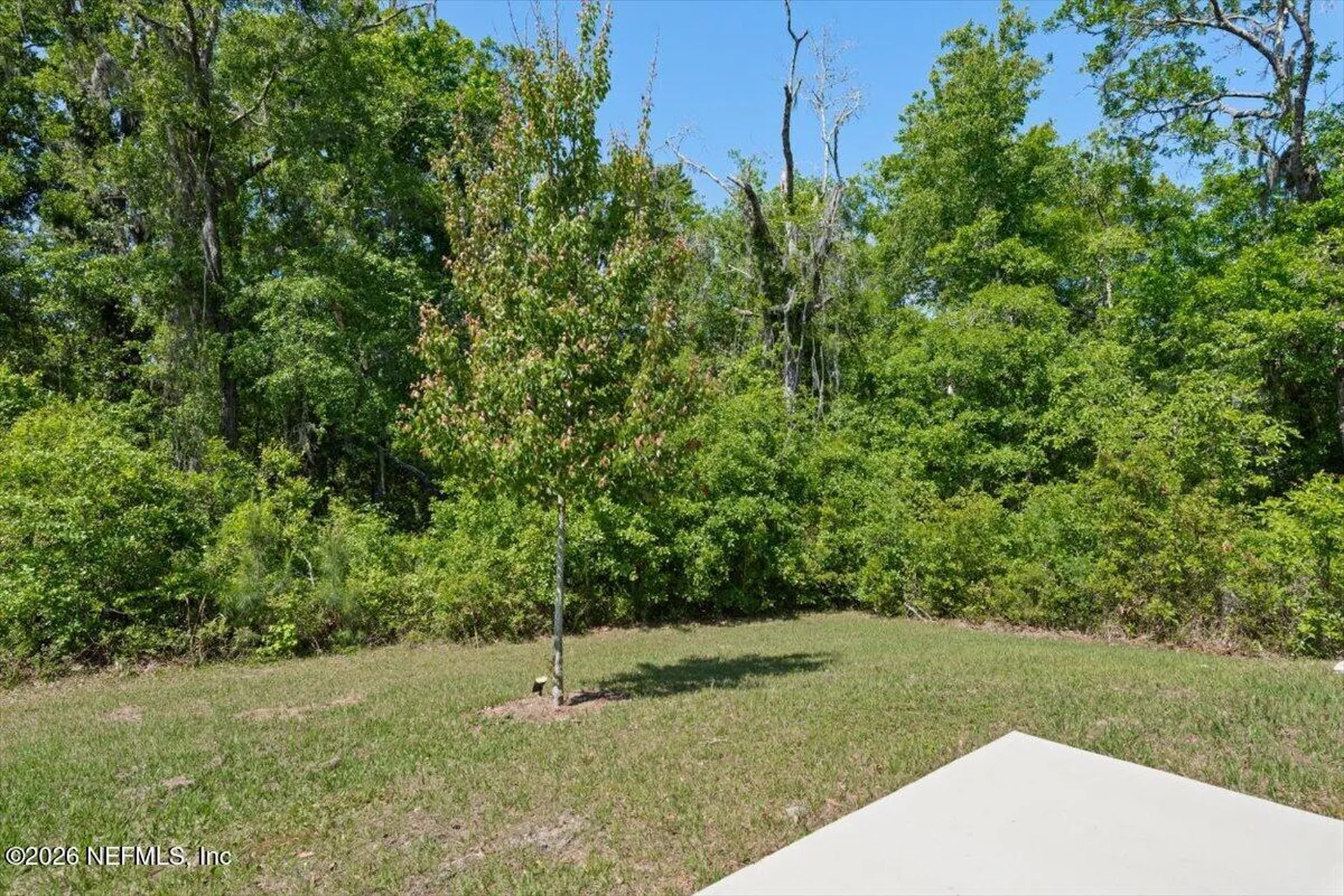 3087 Rustic Deer Way Green Cove Springs FL 32043