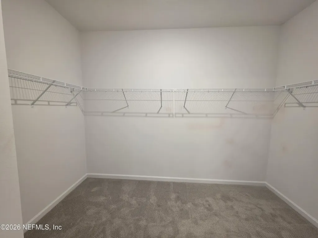 3295 Willowleaf Lane Green Cove Springs FL 32043