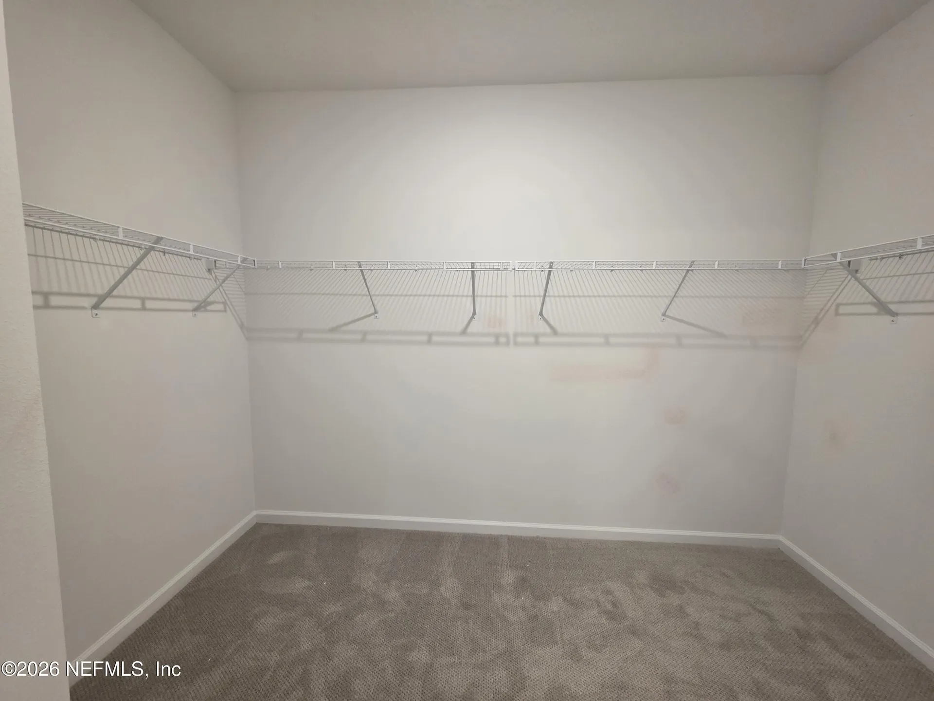 3295 Willowleaf Lane Green Cove Springs FL 32043