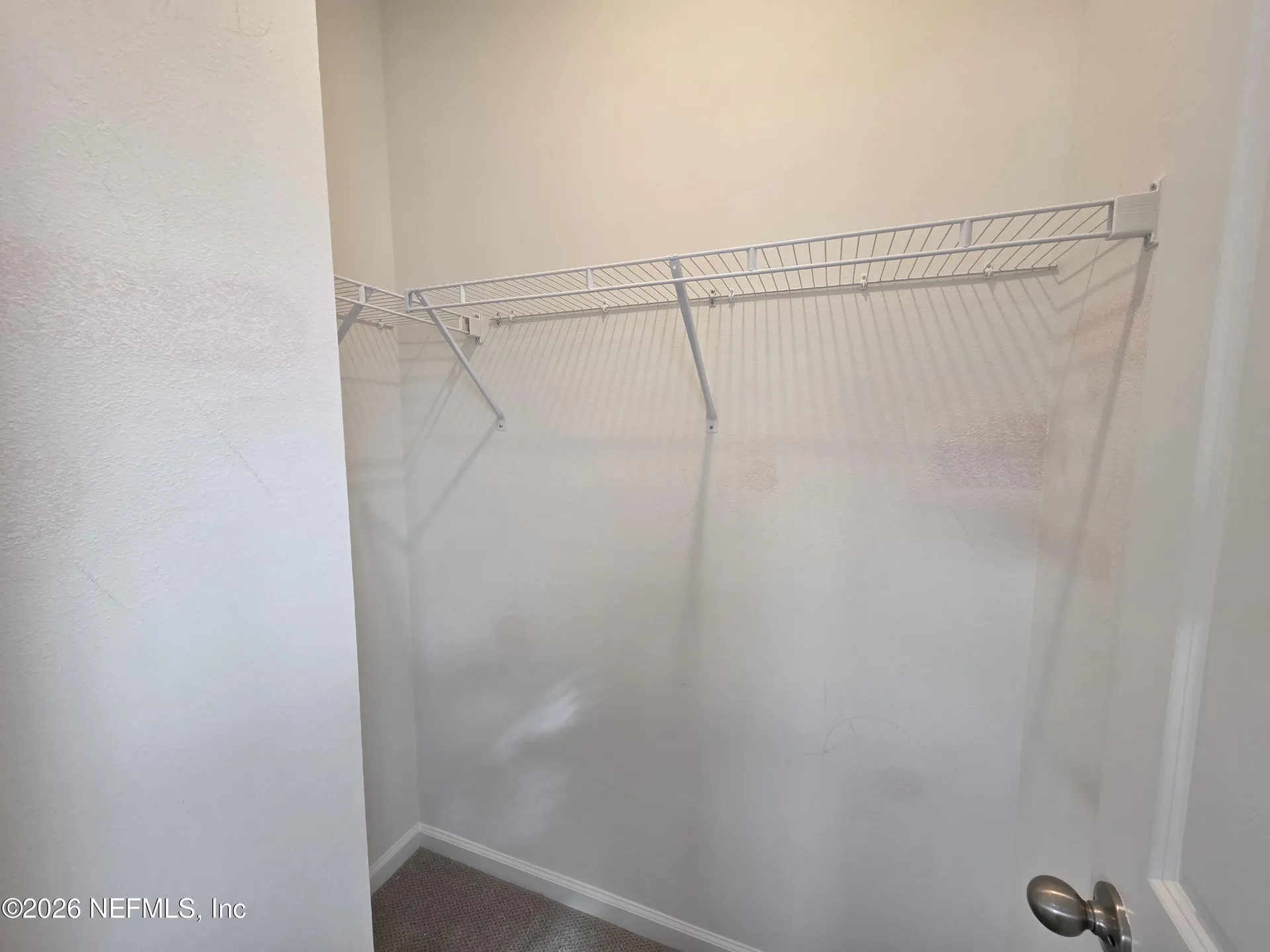 3295 Willowleaf Lane Green Cove Springs FL 32043