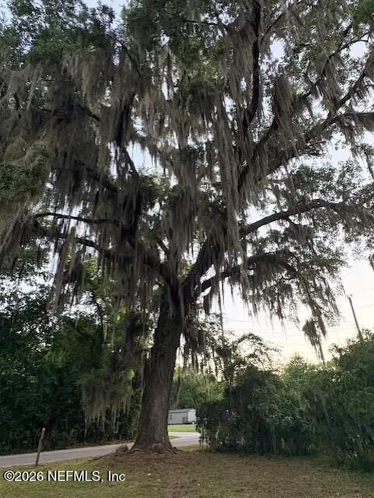 130 Price Street Palatka FL 32177