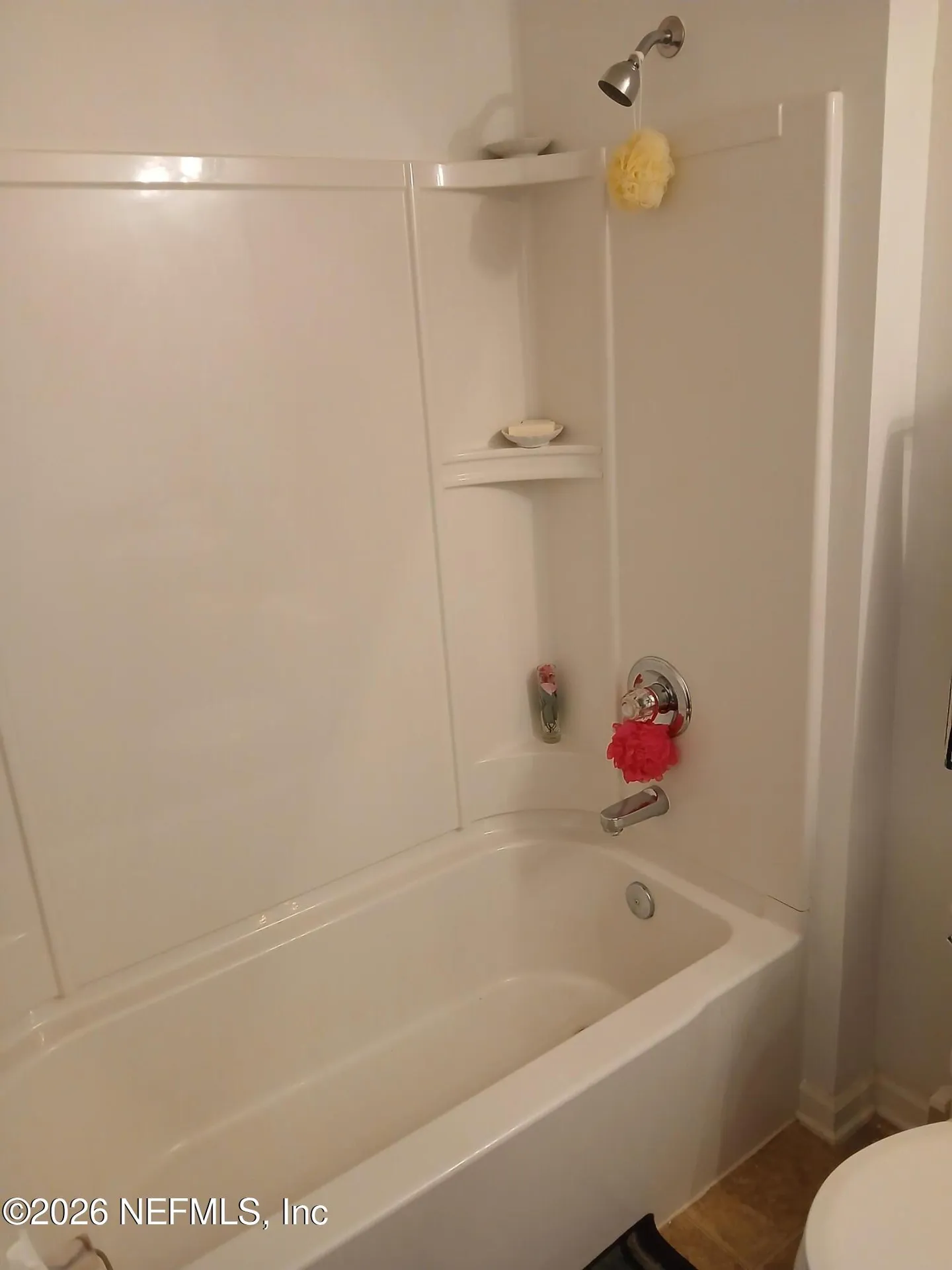 6389 Pinewood Hills Drive Jacksonville FL 32218