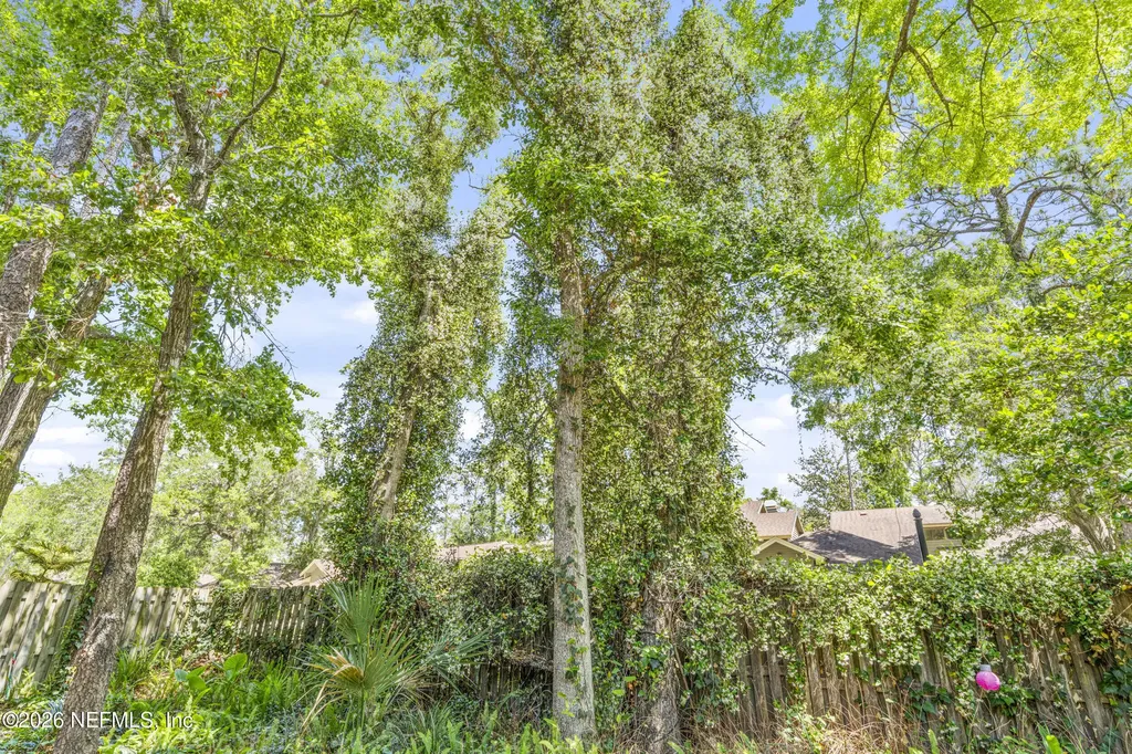 540 Willow Oak Lane Orange Park FL 32073