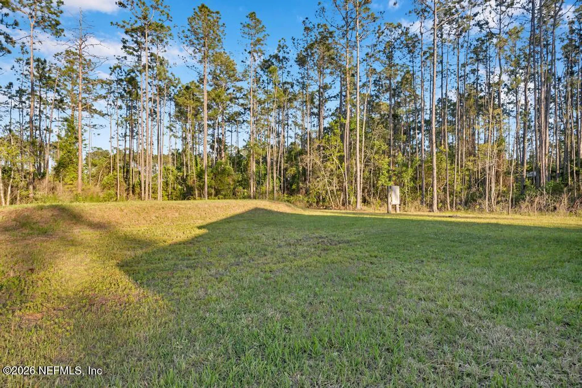 10020 Baylor Avenue Hastings FL 32145