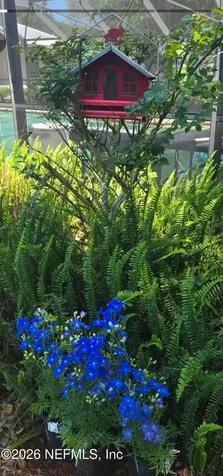 1590 Pitch Pine Avenue St. Johns FL 32259