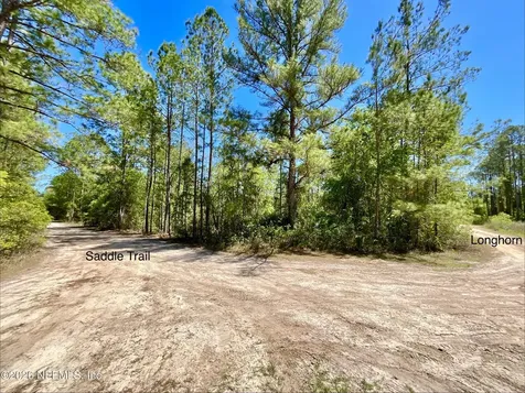 125 Saddle Trail Interlachen FL 32148