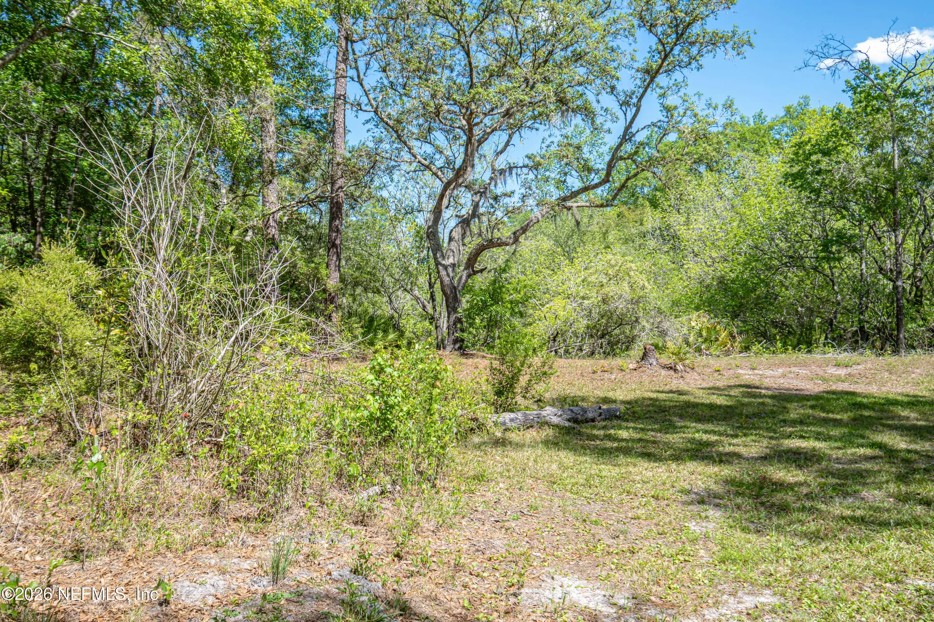 23221 Hassie Johns Road Sanderson FL 32087